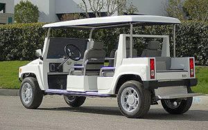 affordable golf cart rental, golf cart rent palm beach, cart rental palm beach