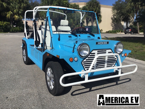 affordable golf cart rental, golf cart rent palm beach, cart rental palm beach