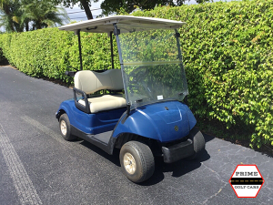 affordable golf cart rental, golf cart rent palm beach, cart rental palm beach