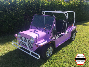 affordable golf cart rental, golf cart rent palm beach, cart rental palm beach