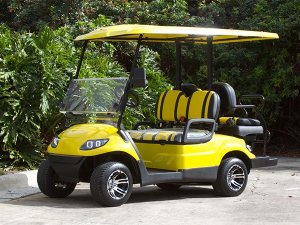 golf car rentals palm beach, golf cart rental near me, cart rental palm beach